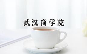 武汉商学院2024在贵州录取分数线是多少？最低441分/最高530分