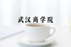 武汉商学院2024在贵州录取分数线是多少？最低441分/最高530分