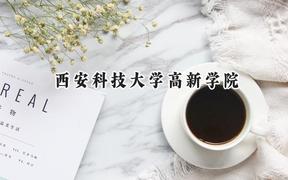 西安科技大学高新学院2024在浙江录取分数线是多少？最低494分/最高547分