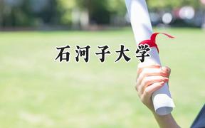 石河子大学2024在上海录取分数线是多少？最低431分/最高501分