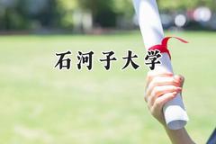 石河子大学2024在上海录取分数线是多少？最低431分/最高501分