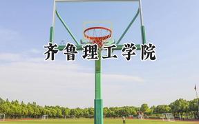 齐鲁理工学院2024在内蒙古录取分数线是多少？最低295分/最高407分