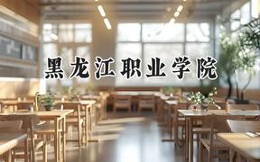 2024黑龙江职业学院录取分数线：天津最低207分
