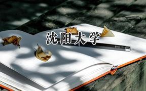 沈阳大学2024在河北录取分数线是多少？最低519分/最高566分