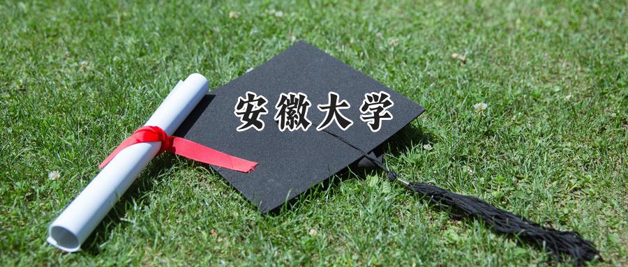 安徽大学