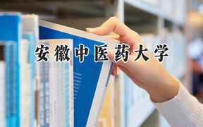 安徽中医药大学2024在贵州录取分数线是多少？最低484分/最高519分