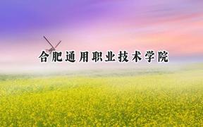 合肥通用职业技术学院2024在江苏录取分数线是多少？最低390分/最高449分