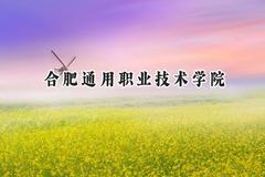 合肥通用职业技术学院2024在江苏录取分数线是多少？最低390分/最高449分