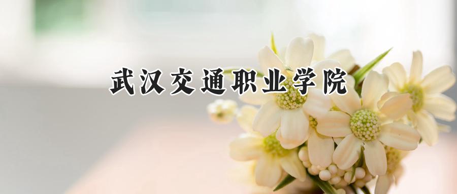 武汉交通职业学院
