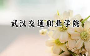 武汉交通职业学院2024在贵州录取分数线是多少？最低244分/最高444分