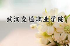 武汉交通职业学院2024在贵州录取分数线是多少？最低244分/最高444分