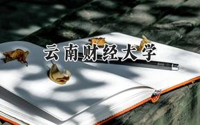 云南财经大学2024在山西录取分数线是多少？最低483分/最高519分