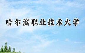 2024哈尔滨职业技术大学录取分数线：青海最低266分