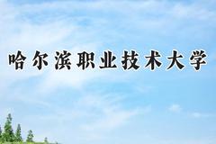 2024哈尔滨职业技术大学录取分数线：青海最低266分