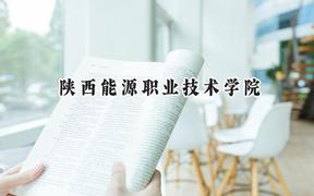 陕西能源职业技术学院2024在江苏录取分数线是多少？最低295分/最高390分