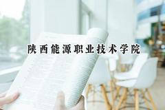 陕西能源职业技术学院2024在江苏录取分数线是多少？最低295分/最高390分