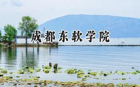 成都东软学院2024在天津录取分数线是多少？最低488分/最高494分