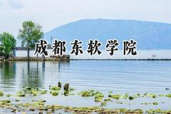 成都东软学院2024在天津录取分数线是多少？最低488分/最高494分