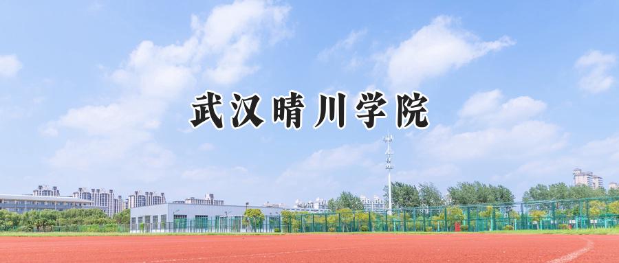 武汉晴川学院
