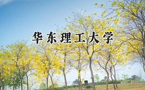2024華東理工大學(xué)錄取分?jǐn)?shù)線(xiàn)：新疆最低516分