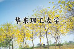 2024华东理工大学录取分数线：新疆最低516分