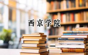 西京学院2024在浙江录取分数线是多少？最低470分/最高544分