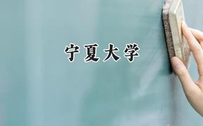 宁夏大学2024在辽宁录取分数线是多少？最低540分/最高598分