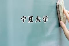 宁夏大学2024在辽宁录取分数线是多少？最低540分/最高598分