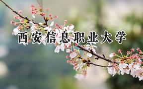2024西安信息职业大学录取分数线：山西最低227分