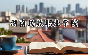 湖南民族职业学院2024在重庆录取分数线是多少？最低356分/最高410分