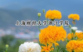 上海财经大学浙江学院2024在重庆录取分数线是多少？最低467分/最高509分