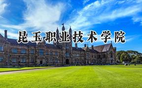 2024昆玉职业技术学院录取分数线：青海最低290分