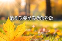 沧州医学高等专科学校2024在内蒙古录取分数线是多少？最低350分/最高404分