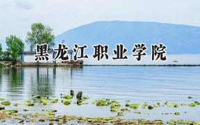 黑龙江职业学院2024在河北录取分数线是多少？最低365分/最高461分