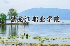 黑龙江职业学院2024在河北录取分数线是多少？最低365分/最高461分
