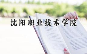 沈阳职业技术学院2024在辽宁录取分数线是多少？最低218分/最高416分