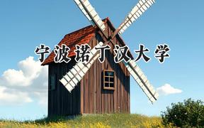 宁波诺丁汉大学2024在辽宁录取分数线是多少？最低536分/最高629分