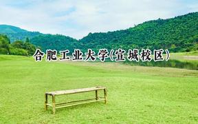 合肥工业大学(宣城校区)2024在山西录取分数线是多少？最低528分/最高603分