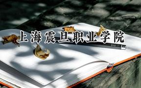 上海震旦职业学院2024在四川录取分数线是多少？最低331分/最高372分