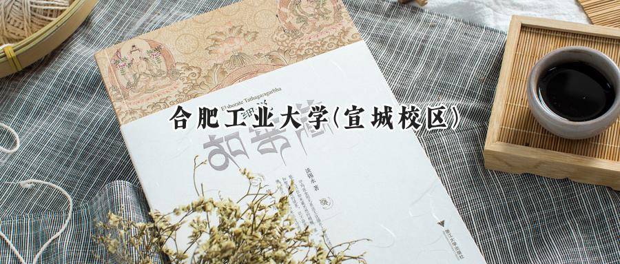 合肥工业大学(宣城校区)