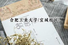 2024合肥工业大学(宣城校区)录取分数线：天津最低623分