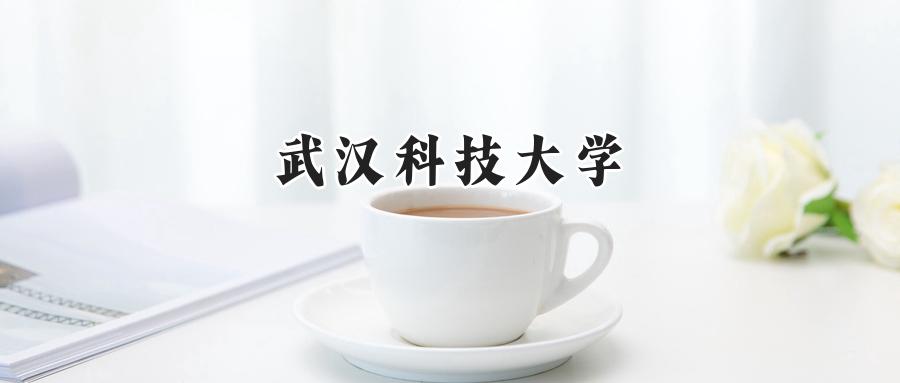 武汉科技大学