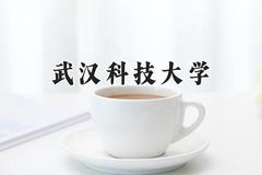 2024武汉科技大学录取分数线：山西最低514分