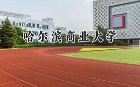 哈爾濱商業(yè)大學(xué)2024在江蘇錄取分?jǐn)?shù)線是多少？最低516分/最高544分