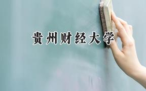 2024贵州财经大学录取分数线：江苏最低497分