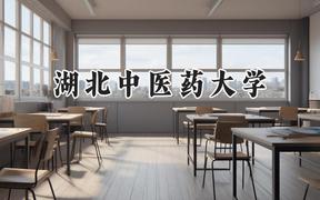 湖北中医药大学2024在内蒙古录取分数线是多少？最低447分/最高532分