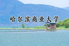哈尔滨商业大学2024在辽宁录取分数线是多少？最低454分/最高574分