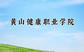 黄山健康职业学院2024在重庆录取分数线是多少？最低290分/最高349分