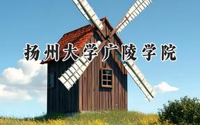 扬州大学广陵学院2024在江苏录取分数线是多少？最低462分/最高511分