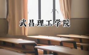 武昌理工学院2024在天津录取分数线是多少？最低482分/最高501分